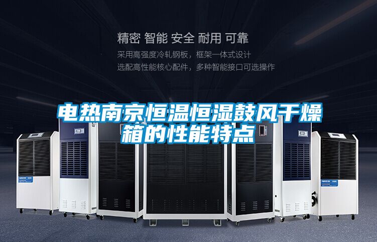 電熱南京恒溫恒濕鼓風(fēng)干燥箱的性能特點
