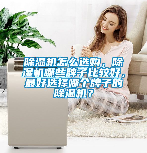 除濕機怎么選購，除濕機哪些牌子比較好，最好選擇哪個牌子的除濕機？