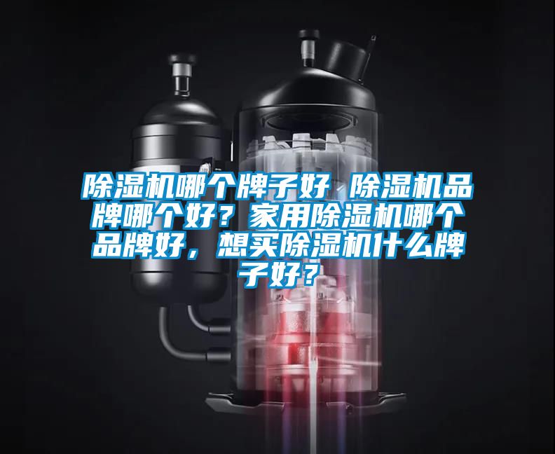 除濕機(jī)哪個(gè)牌子好 除濕機(jī)品牌哪個(gè)好？家用除濕機(jī)哪個(gè)品牌好，想買(mǎi)除濕機(jī)什么牌子好？