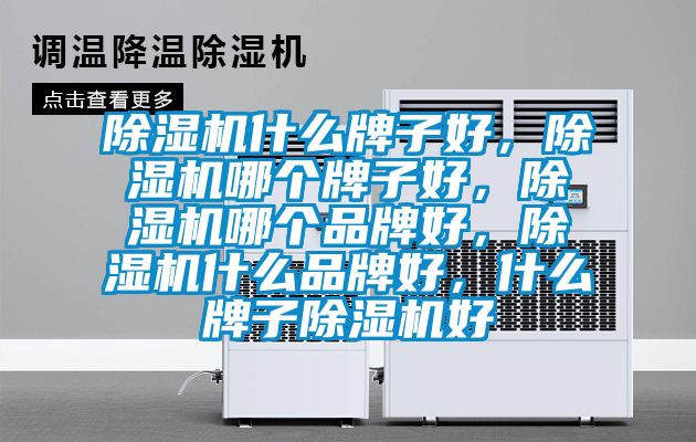 除濕機什么牌子好，除濕機哪個牌子好，除濕機哪個品牌好，除濕機什么品牌好，什么牌子除濕機好
