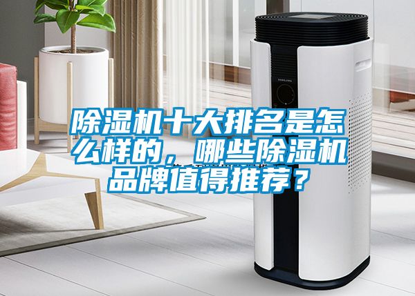 除濕機(jī)十大排名是怎么樣的，哪些除濕機(jī)品牌值得推薦？