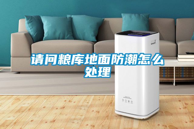 請(qǐng)問糧庫地面防潮怎么處理