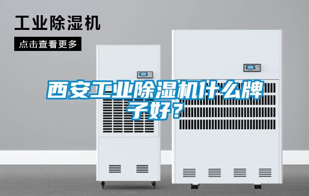 西安工業(yè)除濕機(jī)什么牌子好？