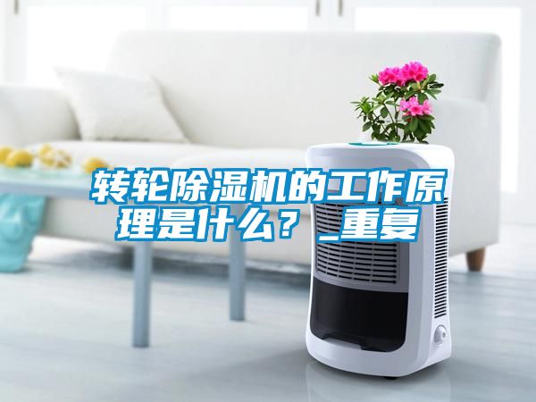 轉(zhuǎn)輪除濕機(jī)的工作原理是什么？_重復(fù)