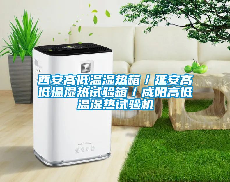西安高低溫濕熱箱／延安高低溫濕熱試驗箱／咸陽高低溫濕熱試驗機(jī)
