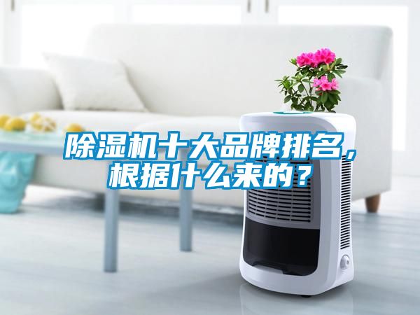 除濕機(jī)十大品牌排名，根據(jù)什么來的？
