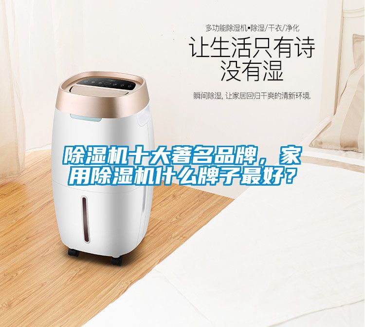 除濕機(jī)十大著名品牌，家用除濕機(jī)什么牌子最好？
