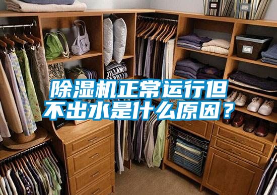 除濕機(jī)正常運(yùn)行但不出水是什么原因？