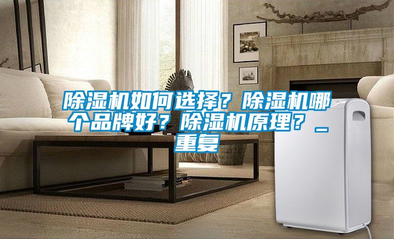 除濕機如何選擇？除濕機哪個品牌好？除濕機原理？_重復(fù)
