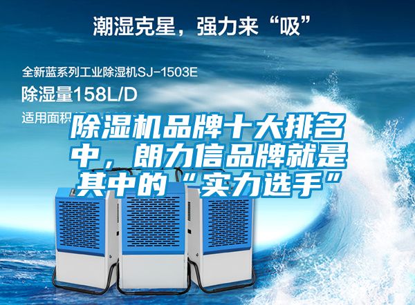 除濕機品牌十大排名中，朗力信品牌就是其中的“實力選手”