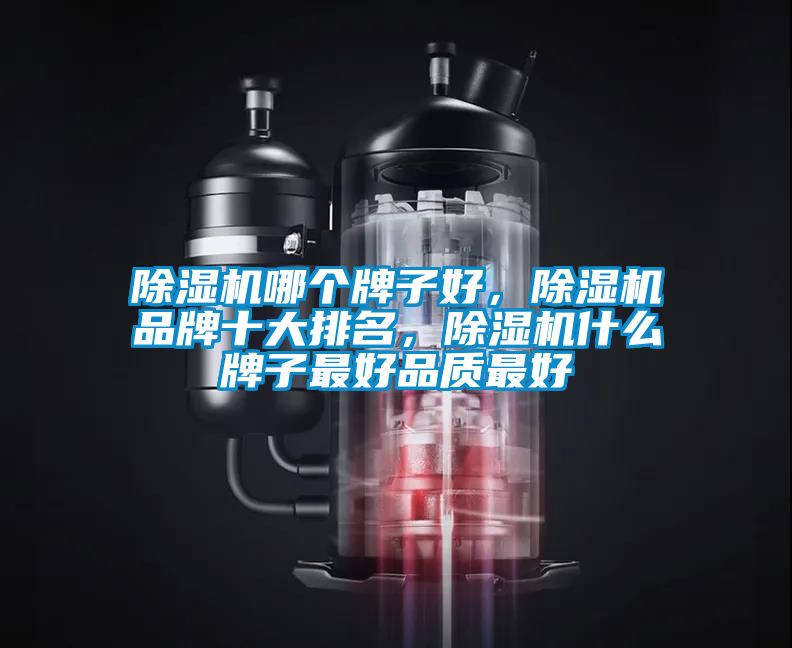除濕機(jī)哪個(gè)牌子好，除濕機(jī)品牌十大排名，除濕機(jī)什么牌子最好品質(zhì)最好