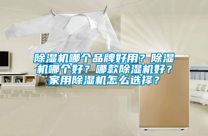 除濕機(jī)哪個(gè)品牌好用？除濕機(jī)哪個(gè)好？哪款除濕機(jī)好？家用除濕機(jī)怎么選擇？
