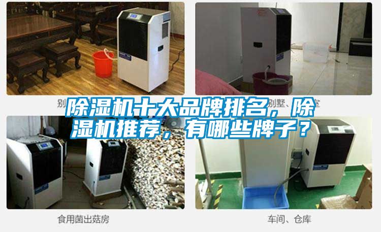 除濕機(jī)十大品牌排名，除濕機(jī)推薦，有哪些牌子？