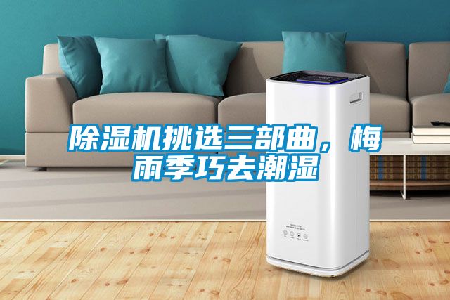 除濕機(jī)挑選三部曲，梅雨季巧去潮濕