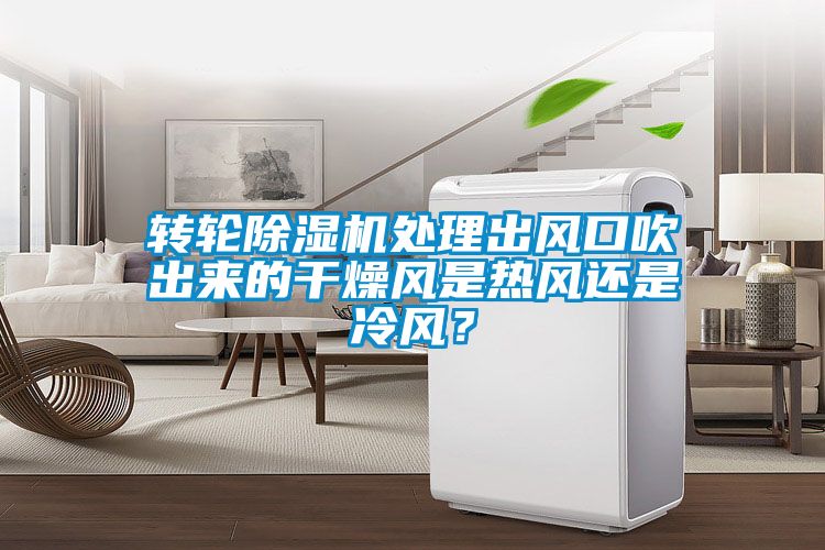 轉(zhuǎn)輪除濕機處理出風口吹出來的干燥風是熱風還是冷風？