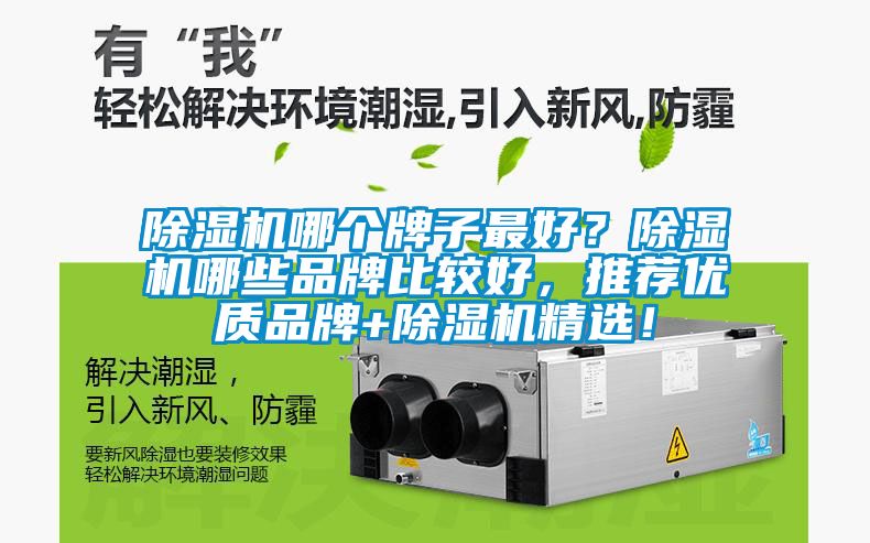 除濕機(jī)哪個(gè)牌子最好？除濕機(jī)哪些品牌比較好，推薦優(yōu)質(zhì)品牌+除濕機(jī)精選！