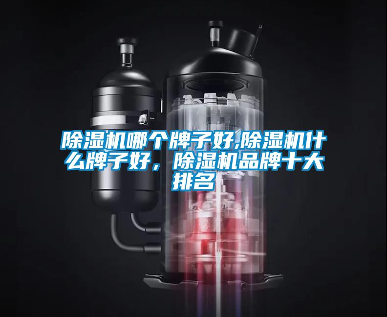 除濕機(jī)哪個(gè)牌子好,除濕機(jī)什么牌子好，除濕機(jī)品牌十大排名