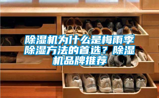 除濕機為什么是梅雨季除濕方法的首選？除濕機品牌推薦