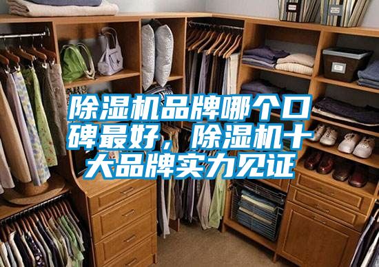 除濕機(jī)品牌哪個口碑最好，除濕機(jī)十大品牌實力見證