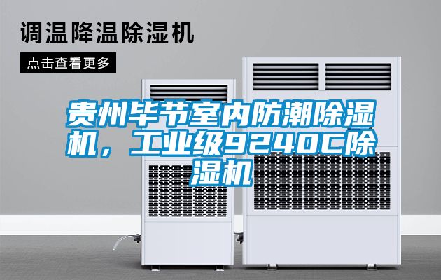 貴州畢節(jié)室內(nèi)防潮除濕機(jī)，工業(yè)級(jí)9240C除濕機(jī)
