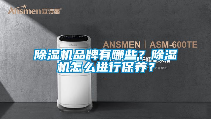 除濕機(jī)品牌有哪些？除濕機(jī)怎么進(jìn)行保養(yǎng)？