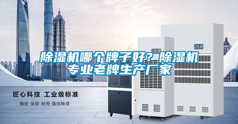 除濕機(jī)哪個(gè)牌子好？除濕機(jī)專業(yè)老牌生產(chǎn)廠家