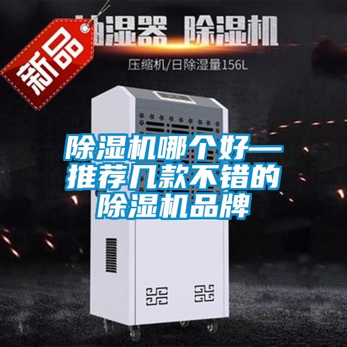 除濕機(jī)哪個好—推薦幾款不錯的除濕機(jī)品牌