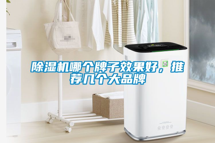 除濕機(jī)哪個牌子效果好，推薦幾個大品牌
