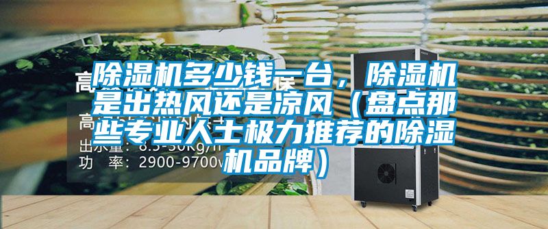 除濕機多少錢一臺，除濕機是出熱風(fēng)還是涼風(fēng)（盤點那些專業(yè)人士極力推薦的除濕機品牌）