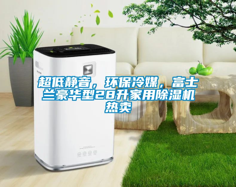 超低靜音，環(huán)保冷媒，富士蘭豪華型28升家用除濕機熱賣