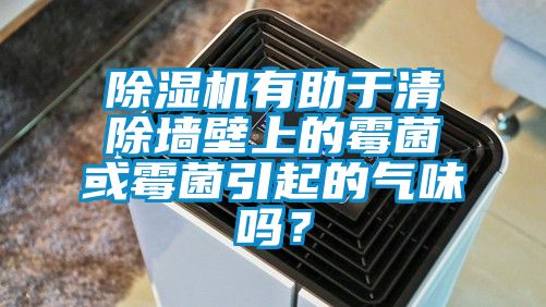 除濕機(jī)有助于清除墻壁上的霉菌或霉菌引起的氣味嗎？