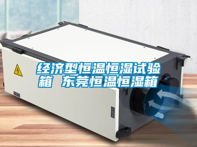 經(jīng)濟(jì)型恒溫恒濕試驗箱 東莞恒溫恒濕箱