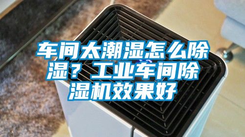 車間太潮濕怎么除濕？工業(yè)車間除濕機效果好
