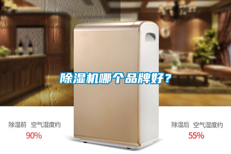 除濕機(jī)哪個品牌好？