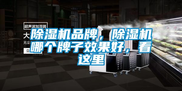 除濕機(jī)品牌，除濕機(jī)哪個(gè)牌子效果好，看這里
