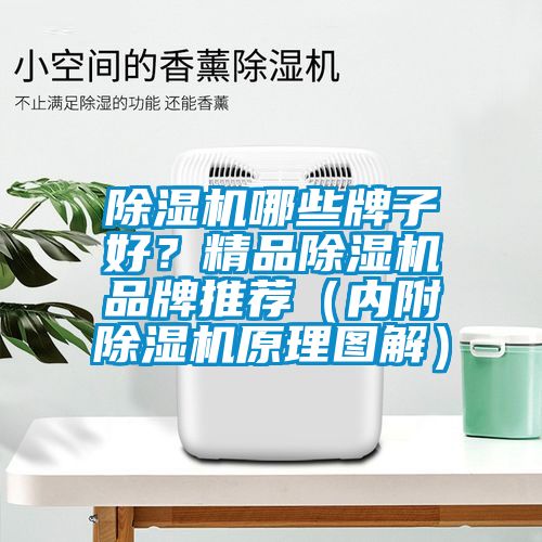 除濕機(jī)哪些牌子好？精品除濕機(jī)品牌推薦（內(nèi)附除濕機(jī)原理圖解）