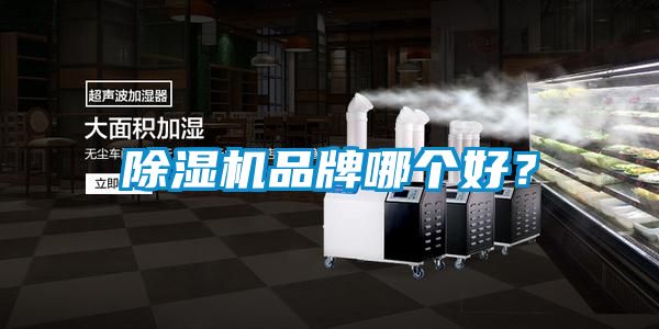 除濕機(jī)品牌哪個(gè)好？