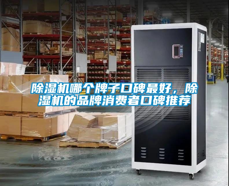 除濕機(jī)哪個牌子口碑最好，除濕機(jī)的品牌消費(fèi)者口碑推薦