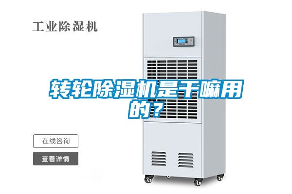 轉(zhuǎn)輪除濕機是干嘛用的？