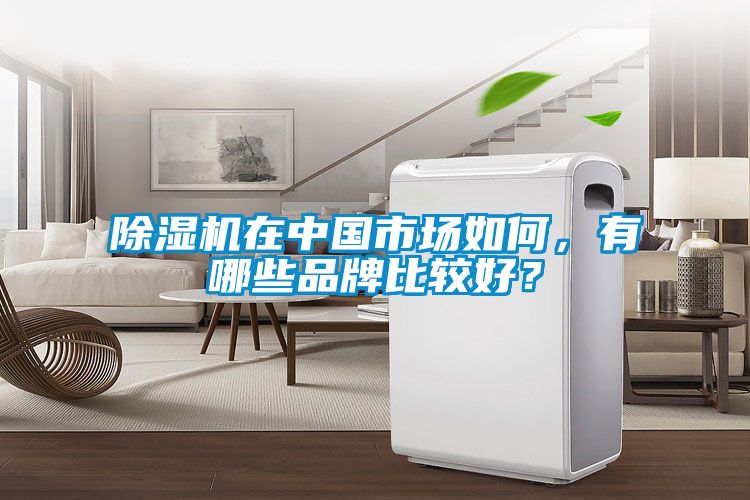除濕機(jī)在中國市場(chǎng)如何，有哪些品牌比較好？