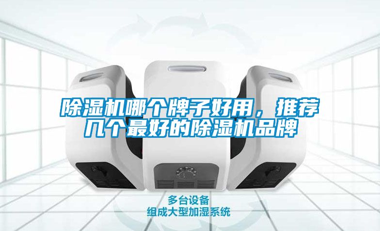 除濕機(jī)哪個(gè)牌子好用，推薦幾個(gè)最好的除濕機(jī)品牌