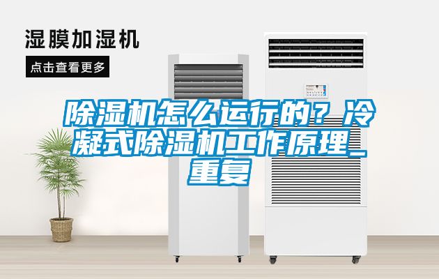 除濕機怎么運行的？冷凝式除濕機工作原理_重復(fù)