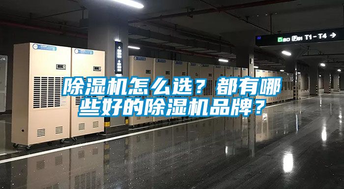 除濕機怎么選？都有哪些好的除濕機品牌？