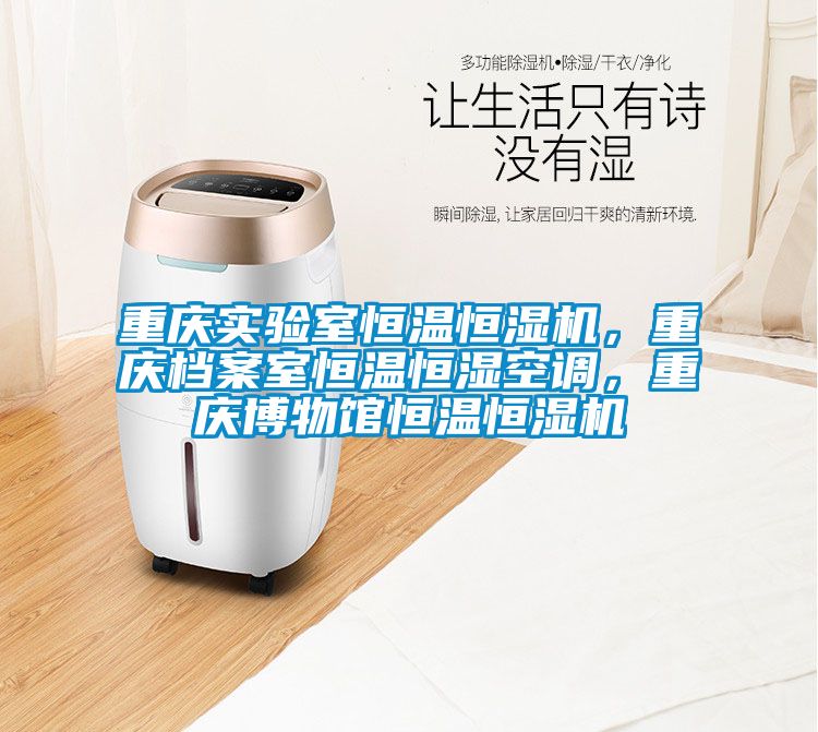 重慶實驗室恒溫恒濕機，重慶檔案室恒溫恒濕空調(diào)，重慶博物館恒溫恒濕機