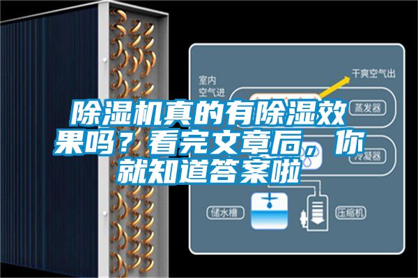 除濕機(jī)真的有除濕效果嗎？看完文章后，你就知道答案啦