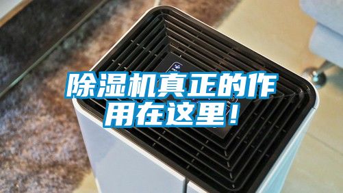 除濕機真正的作用在這里！
