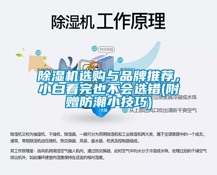 除濕機(jī)選購(gòu)與品牌推薦，小白看完也不會(huì)選錯(cuò)(附贈(zèng)防潮小技巧)