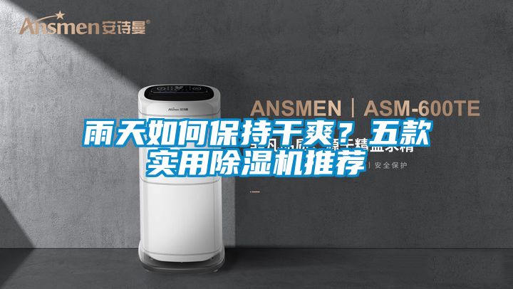 雨天如何保持干爽？五款實(shí)用除濕機(jī)推薦