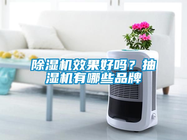 除濕機(jī)效果好嗎？抽濕機(jī)有哪些品牌