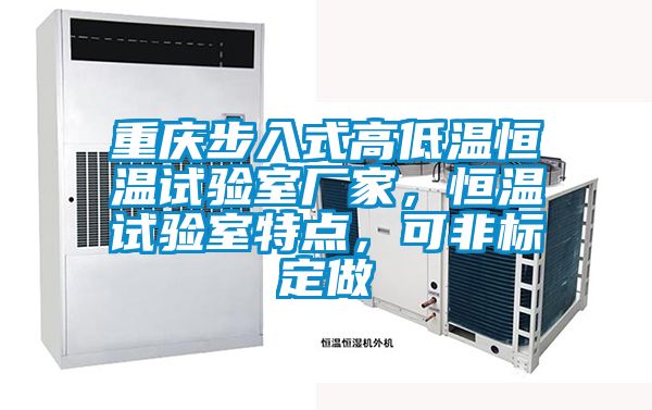 重慶步入式高低溫恒溫試驗(yàn)室廠家，恒溫試驗(yàn)室特點(diǎn)，可非標(biāo)定做